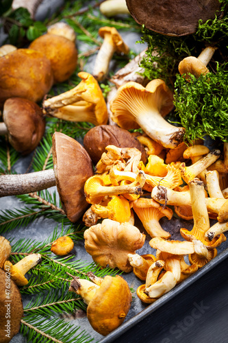 Assorted edible mushrooms on an old dark background. Vegetarian healthy product. Healthy lifestyle.