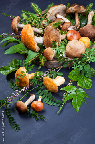 Assorted edible mushrooms on an old dark background. Vegetarian healthy product. Healthy lifestyle.