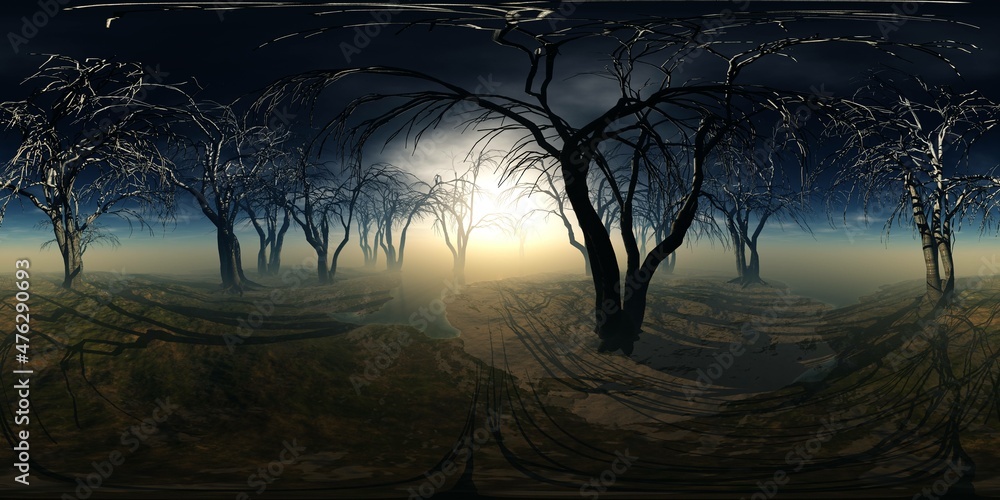 HDRI, environment map , Round panorama, spherical panorama, equidistant projection, panorama 360, Forest and swamp, 3d rendering HDRI, environment map , Round panorama, spherical panorama, equidistant projection, panorama 360, Forest and swamp, 3d rendering