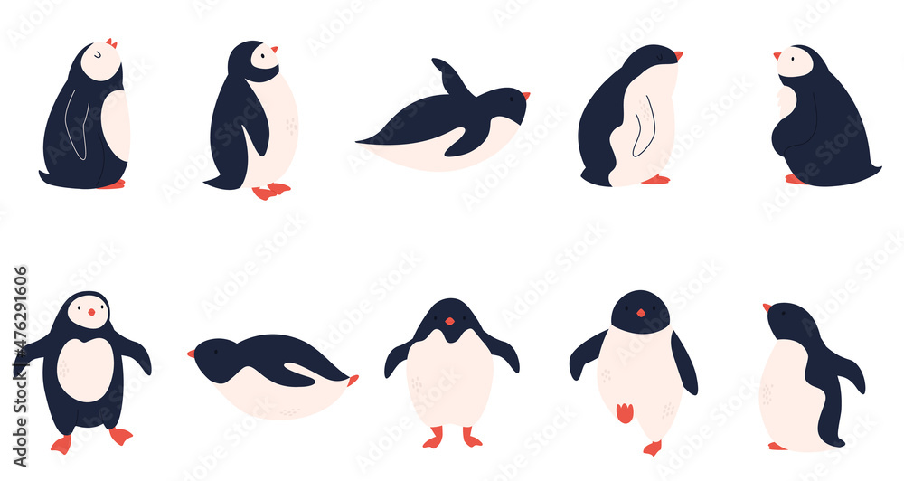 Obraz premium Vector set of cute penguins in different poses