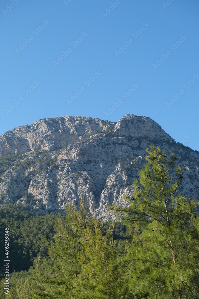 Obraz premium landscape in the mountains