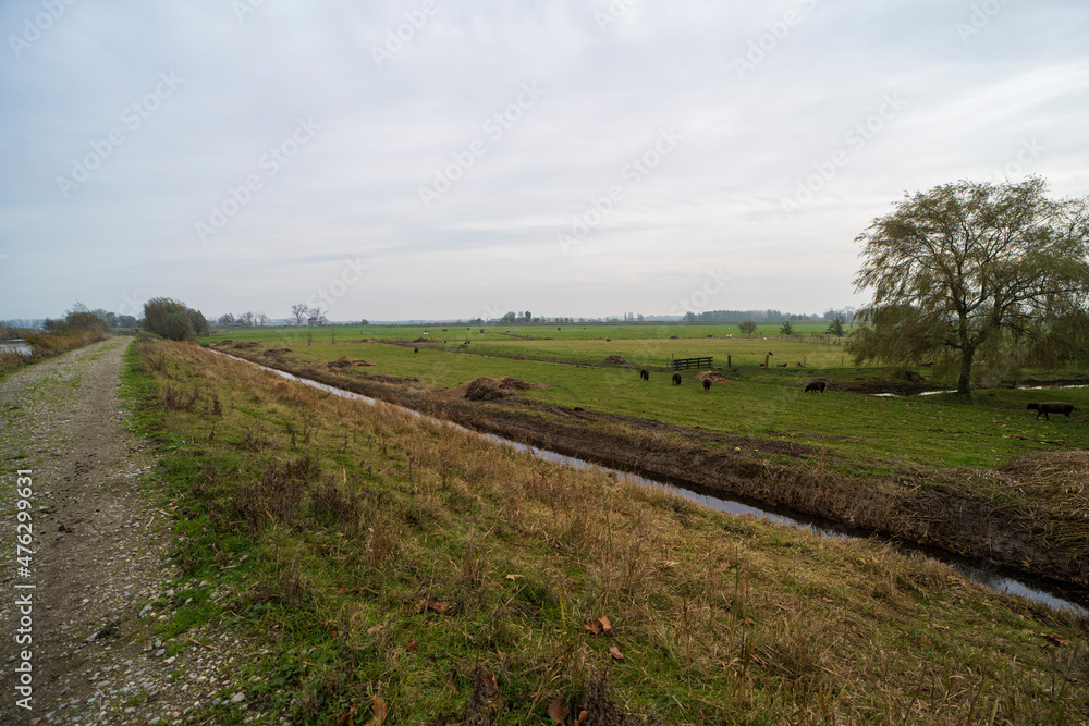 Dutch autumn landscape of the countryside