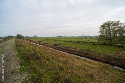 Dutch autumn landscape of the countryside