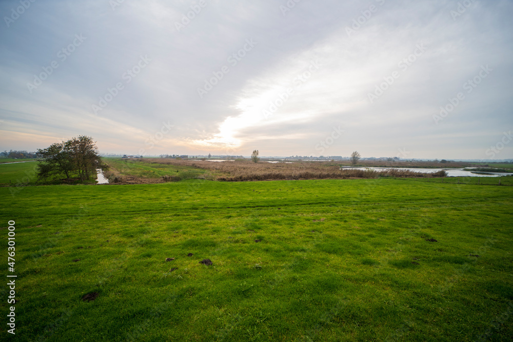 Obraz premium Autumn landscape of lake at nature reserve Polder Groot-Mijdrecht 