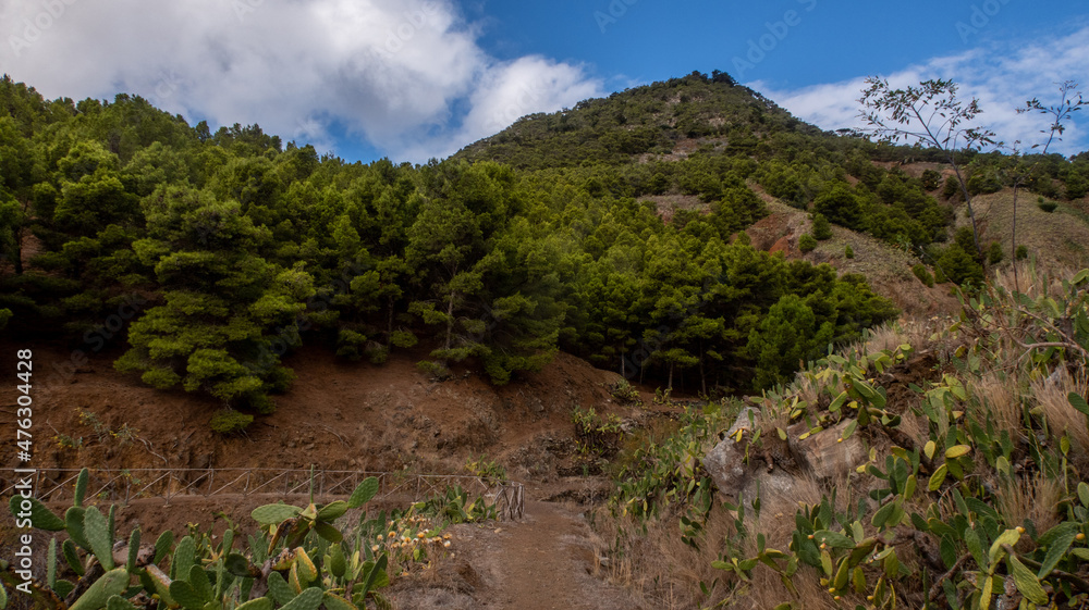 Paysage de Porto Santo Paysage de Porto Santo