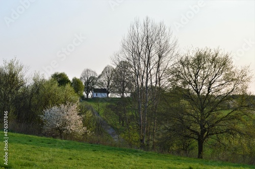Frühlingslandschaft mit Kapelle. © eksfoto