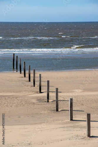 Wooden poles at the beach