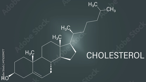 Cholesterol molecule. Essential component of cell membranes and precursor of steroid hormones, bile acids and vitamin D. Skeletal formula. photo