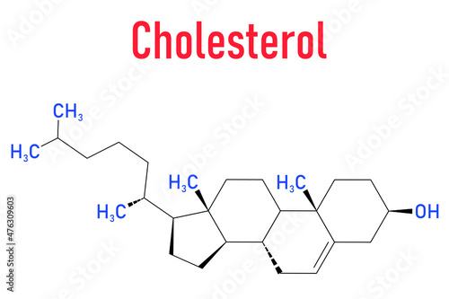 Cholesterol molecule. Essential component of cell membranes and precursor of steroid hormones, bile acids and vitamin D. Skeletal formula.