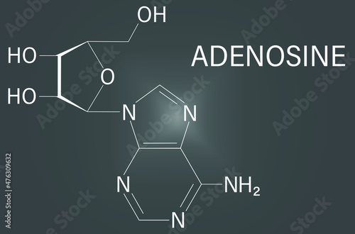 Adenosine or Ado purine nucleoside molecule. Important component of ATP, ADP, cAMP and RNA. Also used as drug. Skeletal formula. photo