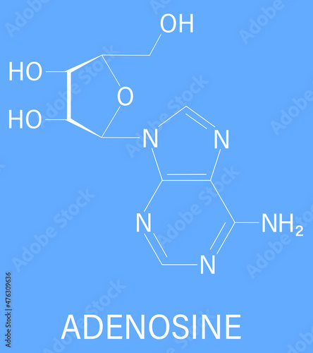 Adenosine or Ado purine nucleoside molecule. Important component of ATP, ADP, cAMP and RNA. Also used as drug. Skeletal formula. photo