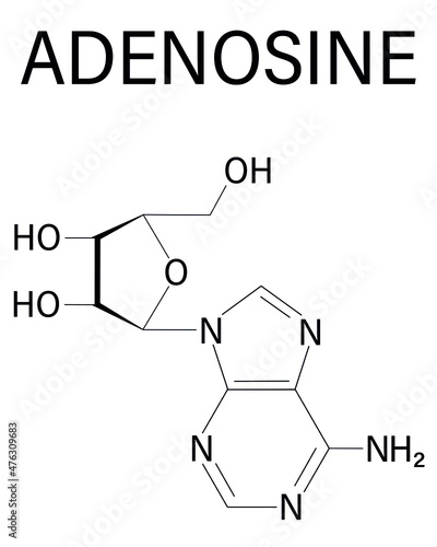 Adenosine or Ado purine nucleoside molecule. Important component of ATP, ADP, cAMP and RNA. Also used as drug. Skeletal formula. photo