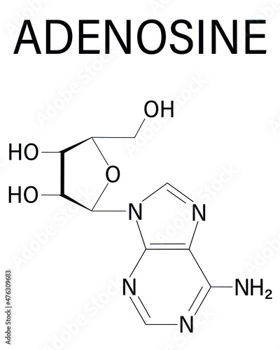 Adenosine or Ado purine nucleoside molecule. Important component of ATP, ADP, cAMP and RNA. Also used as drug. Skeletal formula.