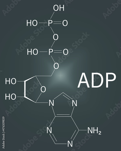 Adenosine diphosphate or ADP molecule. Plays essential role in energy use and storage in the cell. Skeletal formula.
