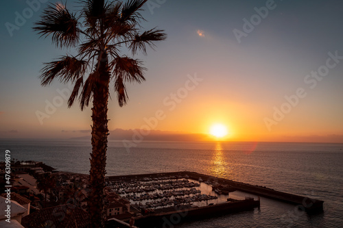 Golden sunset in Los Gigantes  Tenerife  Canary Islands  Spain. View from the hill to the yacht marina  single big palm tree and calm waters of Atlantic ocean. 