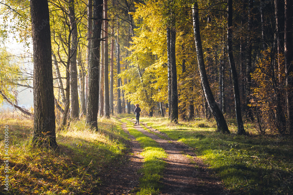 Obraz premium Runner is running through colorful misty morning autumn forest during wonderful calm sunrise. Concepts: lifestyle, dawn, nature