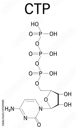 Cytidine triphosphate or CTP RNA building block molecule. Also functions as cofactor to some enzymes. Skeletal formula.