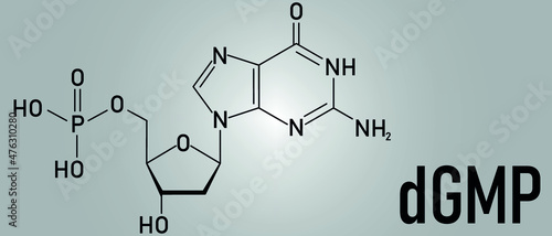 Deoxyguanosine monophosphate or dGMP nucleotide molecule. DNA building block. Skeletal formula.