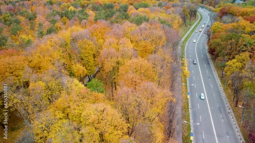 Aerial scenic road in autumnal yellow forest. Fly to right side above cars driving street in autumn city park. Treetop view on Kharkiv, Ukraine