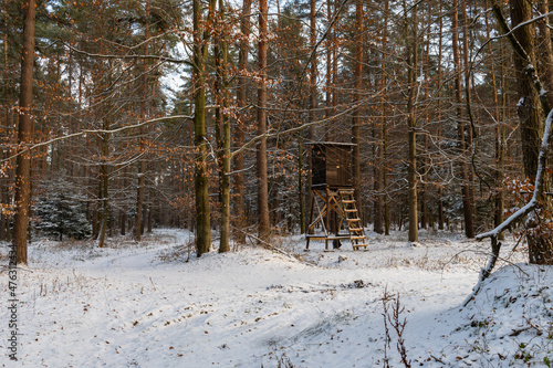 Winter morning in the forest. Wooden hunting platform. Świętokrzyskie, Poland.