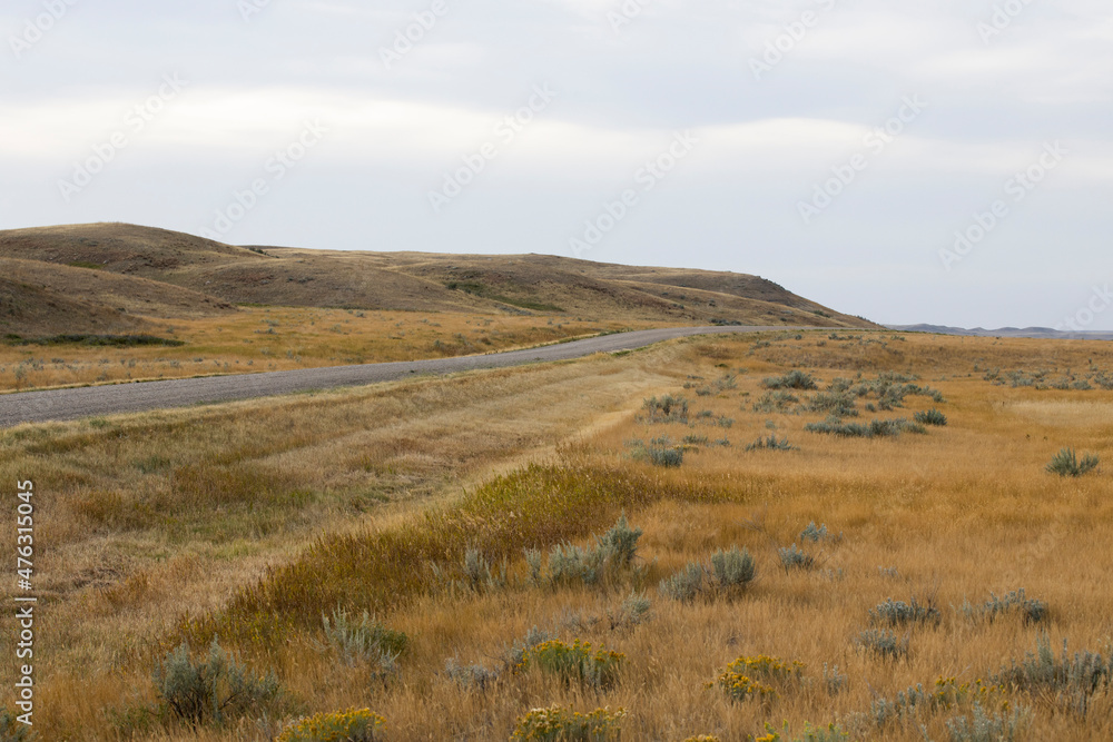 Road amongst rolling hills during golden hour at Grasslands National Park, Canada