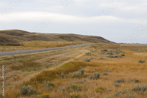 Road amongst rolling hills during golden hour at Grasslands National Park, Canada