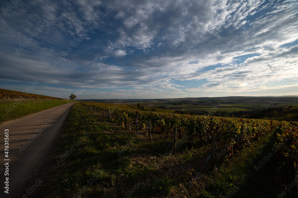 Naklejka premium Irancy 3