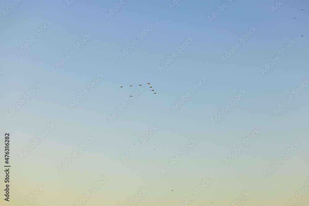 Obraz premium Beautiful view of military airplanes building christmas tree silhouette in blue sky winter day. Sweden. 