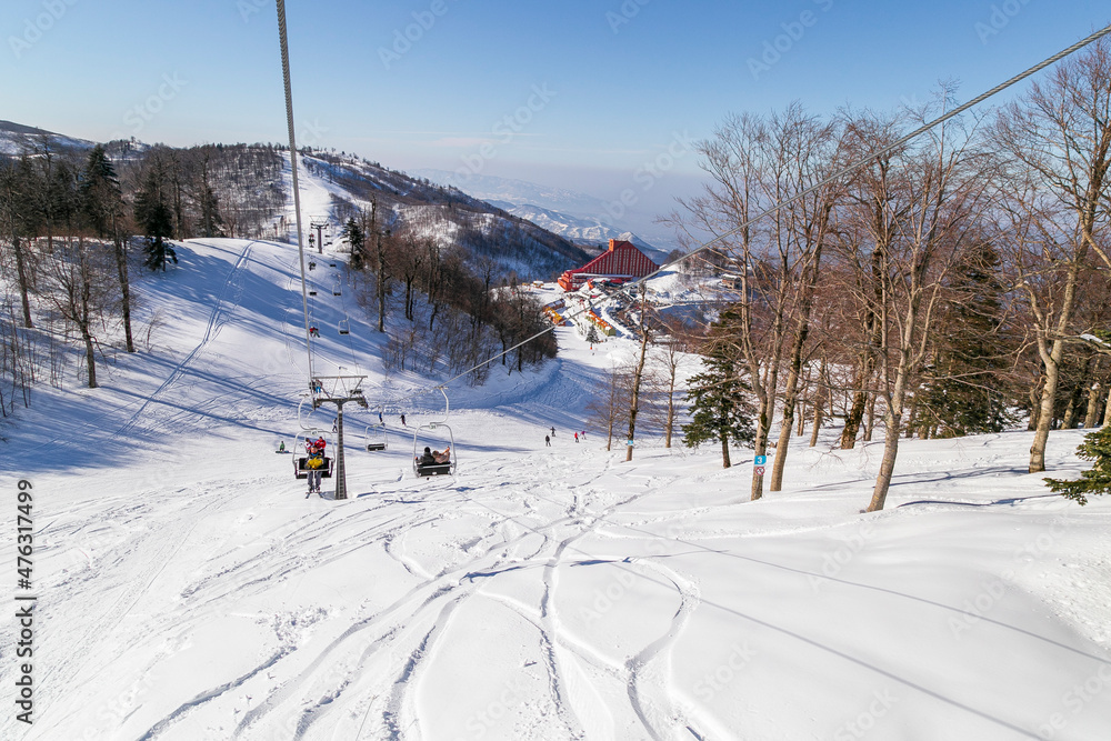 Ski slopes and Ski lifts on a foggy day. Small pine trees with snow. Mountain skiing and snowboarding.