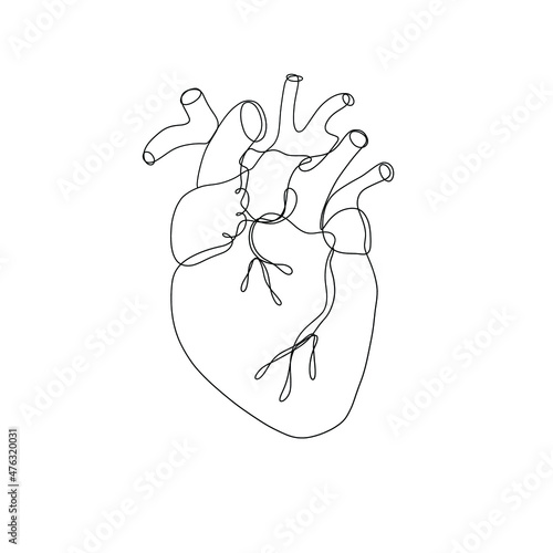 One line hand drawn anatomic medicine heart. Vector minimalist illustration isolated on white background. 
