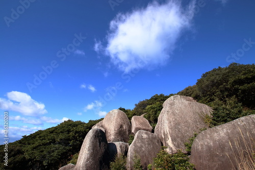 唐人駄場 唐人石巨石群 冬 （高知県 土佐清水市）