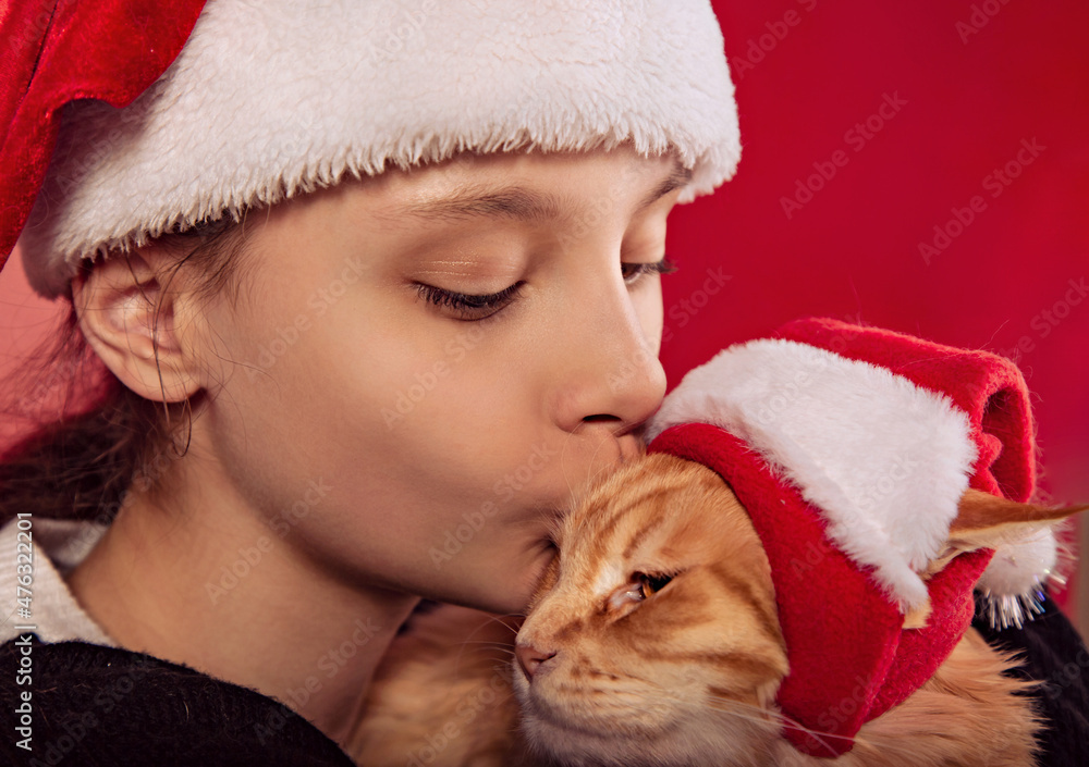 Fun kid girl playing holding and kissing with love the orange maine coon cat in christmas santa claus cap on red background. Closeup Fun kid girl playing holding and kissing with love the orange maine coon cat in christmas santa claus cap on red background. Closeup