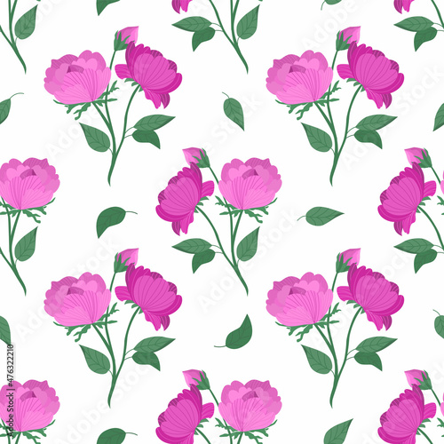 Fototapeta Naklejka Na Ścianę i Meble -  Floral vector seamless pattern with peonies on a white background. Hand-drawn pink peonies. Cute floral pattern