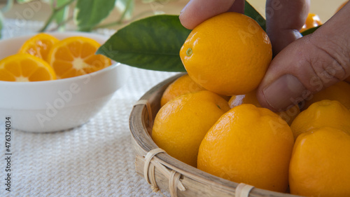 金柑・kumquat・cumquat