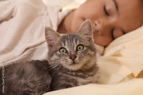 Wallpaper Mural Cute little child with kitten sleeping in bed, focus on pet Torontodigital.ca