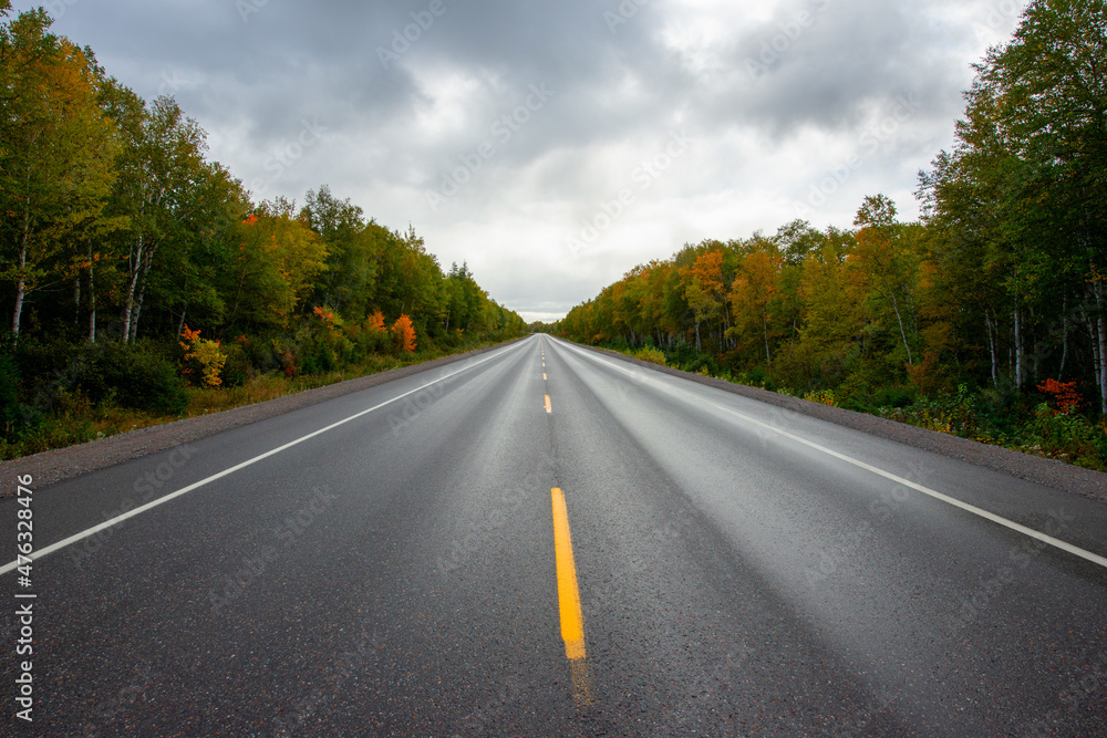 A two lane road of dark wet black asphalt with a single yellow line down the middle. There are colorful autumn trees on both sides. There's a blue sky with white fluffy clouds in the background. A two lane road of dark wet black asphalt with a single yellow line down the middle. There are colorful autumn trees on both sides. There's a blue sky with white fluffy clouds in the background.