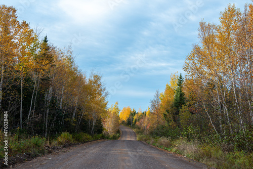An autumn day in a park with a gravel trail or footpath surrounded by bright yellow, orange, and red leaves. The trees and shrubs line the edge of the hiking trail. Some leaves are scattered around.