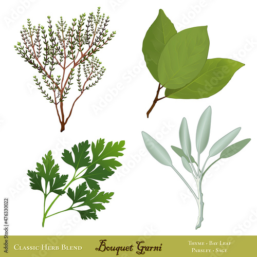 Bouquet Garni, classic traditional French herb blend for cooking: Bay Leaves, English Thyme, Garden Sage, Italian Flat Leaf Parsley, isolated on white. 