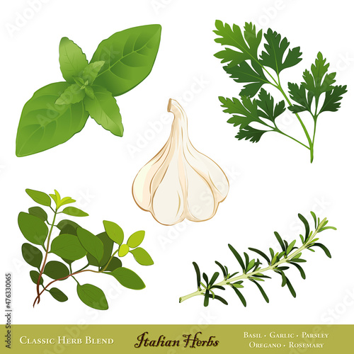 Italian Herbs for Cooking: Sweet Basil, Garlic, Italian Flat Leaf Parsley, Italian Oregano, Rosemary. Isolated on white background.