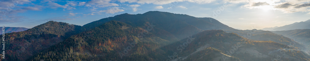 Autumn deciduous forest top view, natural background or texture.