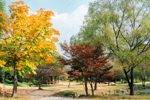 Korean traditional house and autumn forest at Juknokwon in Damyang, Korea © Sanga