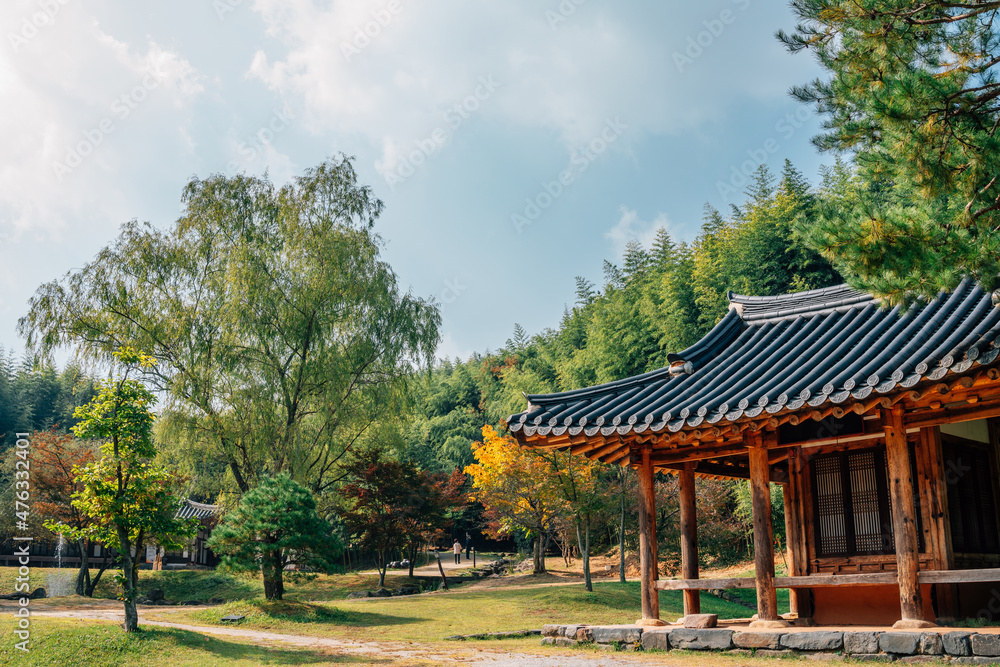 Juknokwon bamboo forest and Korean traditional house at autumn in Damyang, Korea