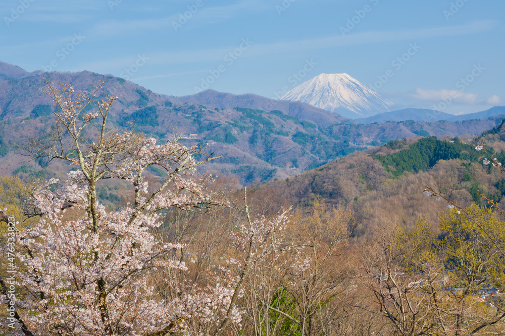 春の里山から眺める青空の下の富士山