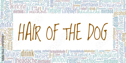 Hair of the Dog that Bit You conceptual vector illustration word cloud isolated on white background.