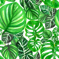 Poster Grüne Muster Aquarell Monstera Blätter im Dschungelstil  © Dani Kingdom