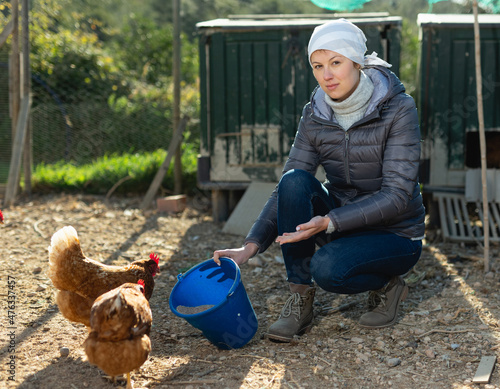 Cheerful young woman feeding domestic hens in poultry aviary in her husbandry photo