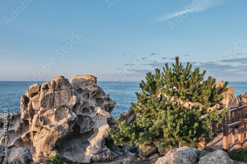 Sticker rocky coast of the sea