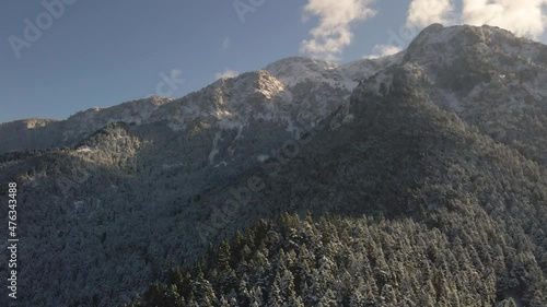 aerial winter snow mountains with trees