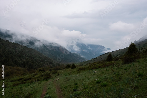 Misty foggy mountain landscape. Nature mountain forest landscape. Scenic background. Mystery weather in the mountains.