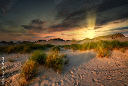 Beautiful dessert landscape during sunset